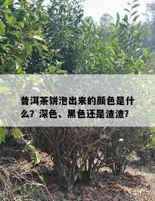 普洱茶饼泡出来的颜色是什么？深色、黑色还是渣渣？