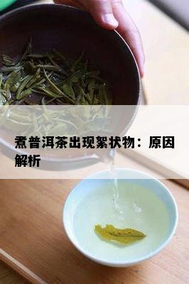 煮普洱茶出现絮状物：原因解析