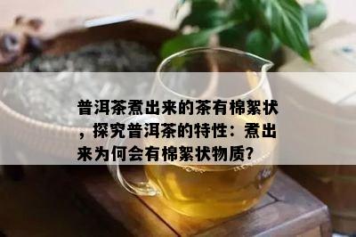 普洱茶煮出来的茶有棉絮状，探究普洱茶的特性：煮出来为何会有棉絮状物质？