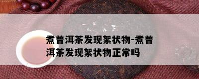 煮普洱茶发现絮状物-煮普洱茶发现絮状物正常吗