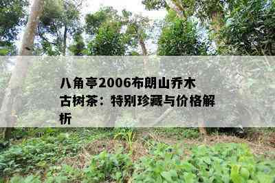 八角亭2006布朗山乔木古树茶：特别珍藏与价格解析