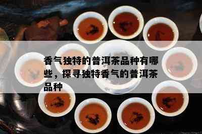 香气独特的普洱茶品种有哪些，探寻独特香气的普洱茶品种