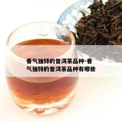 香气独特的普洱茶品种-香气独特的普洱茶品种有哪些