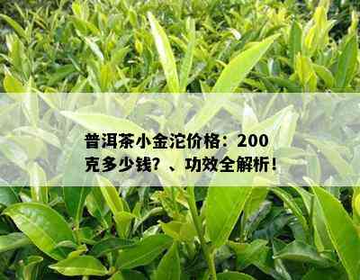 普洱茶小金沱价格：200克多少钱？、功效全解析！