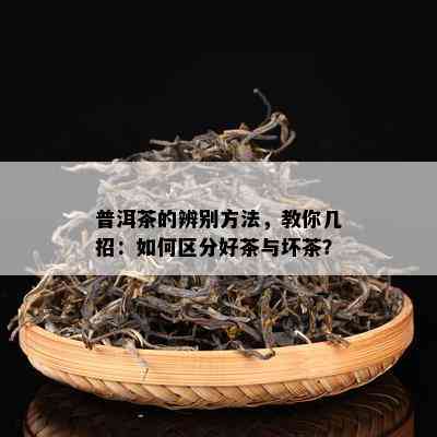 普洱茶的辨别方法，教你几招：如何区分好茶与坏茶？