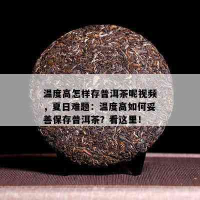 温度高怎样存普洱茶呢视频，夏日难题：温度高如何妥善保存普洱茶？看这里！