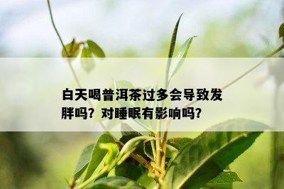 白天喝普洱茶过多会导致发胖吗？对睡眠有影响吗？