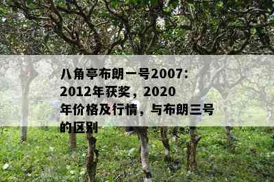 八角亭布朗一号2007：2012年获奖，2020年价格及行情，与布朗三号的区别