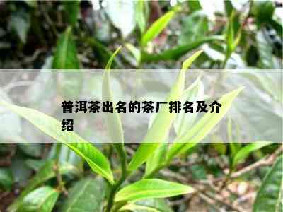 普洱茶出名的茶厂排名及介绍