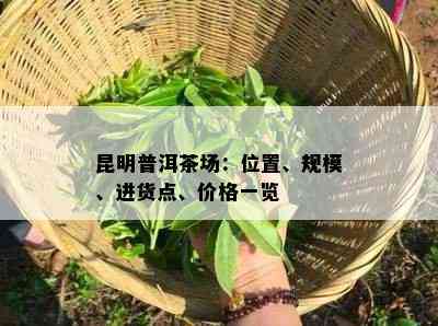 昆明普洱茶场：位置、规模、进货点、价格一览