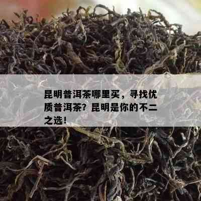 昆明普洱茶哪里买，寻找优质普洱茶？昆明是你的不二之选！