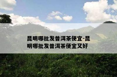 昆明哪批发普洱茶便宜-昆明哪批发普洱茶便宜又好