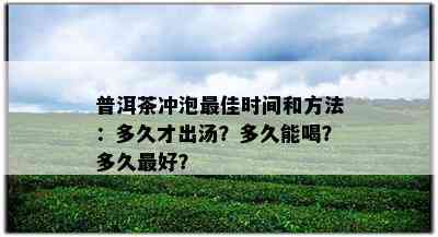 普洱茶冲泡更佳时间和方法：多久才出汤？多久能喝？多久更好？