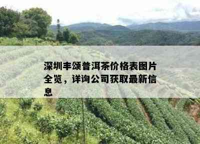 深圳丰颂普洱茶价格表图片全览，详询公司获取最新信息