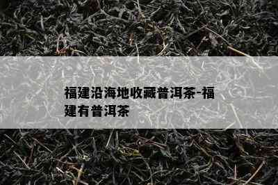 福建沿海地收藏普洱茶-福建有普洱茶