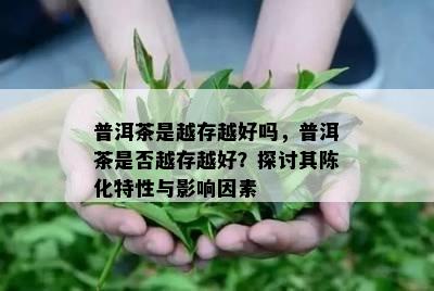 普洱茶是越存越好吗，普洱茶是否越存越好？探讨其陈化特性与影响因素