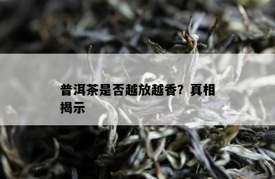 普洱茶是否越放越香？真相揭示