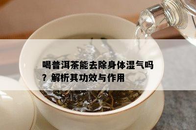 喝普洱茶能去除身体湿气吗？解析其功效与作用