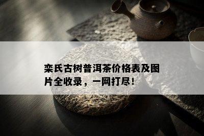 栾氏古树普洱茶价格表及图片全收录，一网打尽！