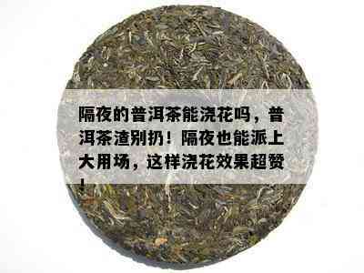 隔夜的普洱茶能浇花吗，普洱茶渣别扔！隔夜也能派上大用场，这样浇花效果超赞！