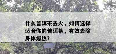 什么普洱茶去火，如何选择适合你的普洱茶，有效去除身体燥热？