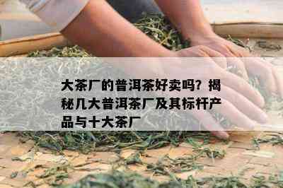 大茶厂的普洱茶好卖吗？揭秘几大普洱茶厂及其标杆产品与十大茶厂