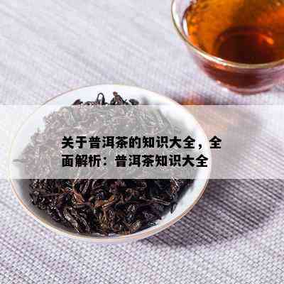 关于普洱茶的知识大全，全面解析：普洱茶知识大全