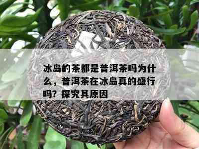 冰岛的茶都是普洱茶吗为什么，普洱茶在冰岛真的盛行吗？探究其原因