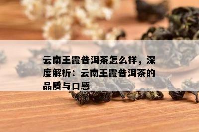 云南王霞普洱茶怎么样，深度解析：云南王霞普洱茶的品质与口感