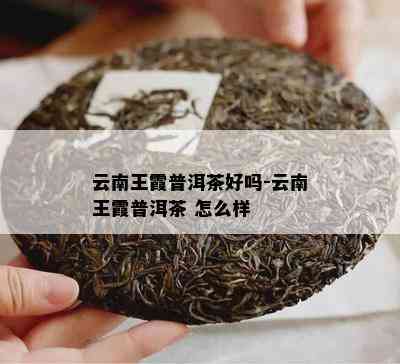 云南王霞普洱茶好吗-云南王霞普洱茶 怎么样