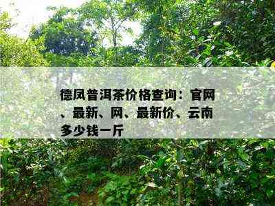 德凤普洱茶价格查询：官网、最新、网、最新价、云南多少钱一斤