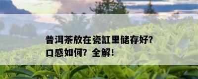 普洱茶放在瓷缸里储存好？口感如何？全解！