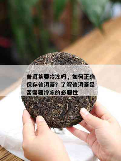 普洱茶要冷冻吗，如何正确保存普洱茶？了解普洱茶是否需要冷冻的必要性