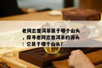 老同志普洱茶属于哪个山头，探寻老同志普洱茶的源头：它属于哪个山头？