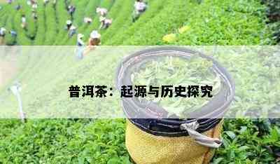 普洱茶：起源与历史探究