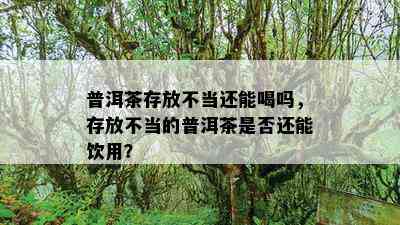 普洱茶存放不当还能喝吗，存放不当的普洱茶是否还能饮用？