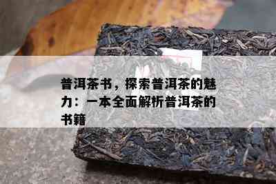 普洱茶书，探索普洱茶的魅力：一本全面解析普洱茶的书籍