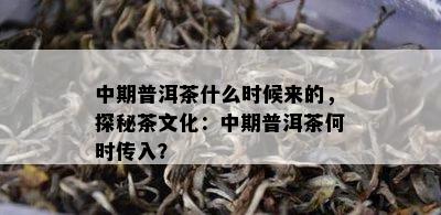 中期普洱茶什么时候来的，探秘茶文化：中期普洱茶何时传入？