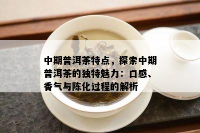 中期普洱茶特点，探索中期普洱茶的独特魅力：口感、香气与陈化过程的解析