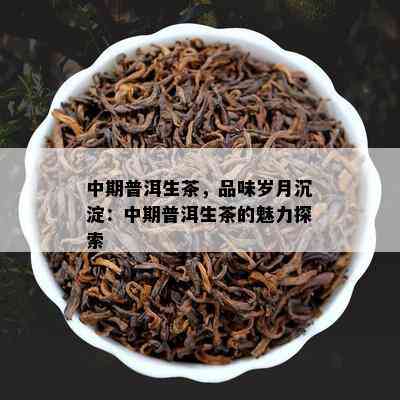 中期普洱生茶，品味岁月沉淀：中期普洱生茶的魅力探索