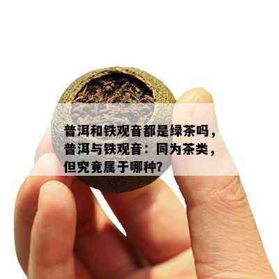 普洱和铁观音都是绿茶吗，普洱与铁观音：同为茶类，但究竟属于哪种？