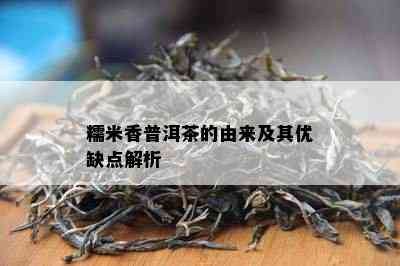 糯米香普洱茶的由来及其优缺点解析