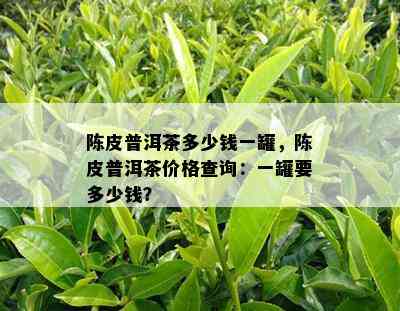 陈皮普洱茶多少钱一罐，陈皮普洱茶价格查询：一罐要多少钱？