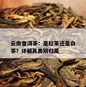 云南普洱茶：是红茶还是白茶？详解其类别归属