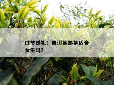 过节送礼：普洱茶熟茶适合女生吗？