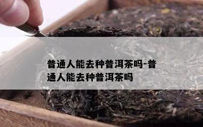 普通人能去种普洱茶吗-普通人能去种普洱茶吗