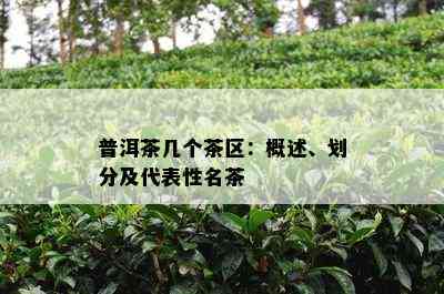 普洱茶几个茶区：概述、划分及代表性名茶