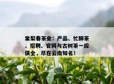 棠梨春茶业：产品、忙肺茶、招聘、官网与古树茶一应俱全，尽在云南知名！