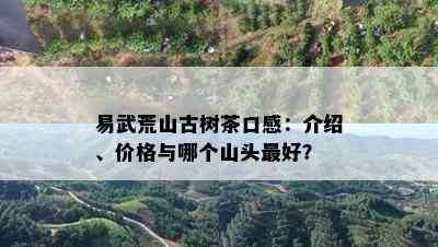 易武荒山古树茶口感：介绍、价格与哪个山头更好？