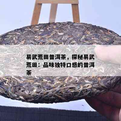 易武荒田普洱茶，探秘易武荒田：品味独特口感的普洱茶